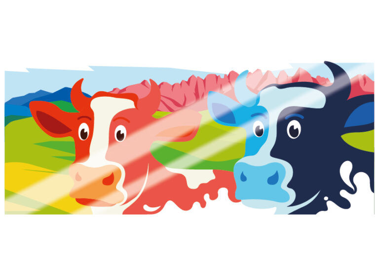 adesivi per vetrata di locale